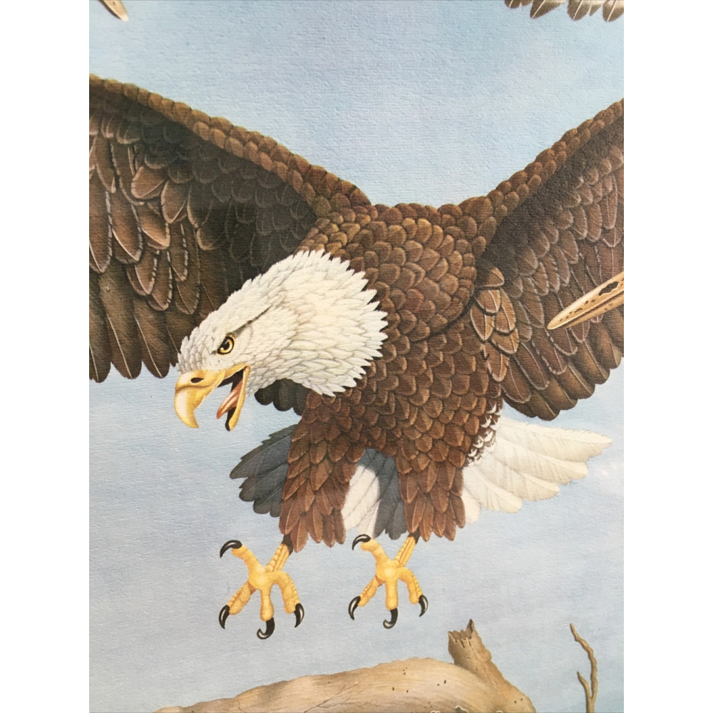 James Kukrul Wildlife Print Signed & Framed Eagle Crane Woodpecker 22x27 - Picture 2 of 16